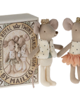 Royal twins mice, Little sister and brother in box