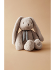 Berto Rabbit Teddy In A Sitting Position (Mist): Height (Cm) 23