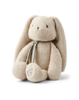 Binnie Rabbit Small Teddy- In A Sitting Position