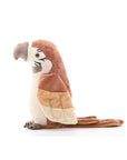 Pierre – The talking parrot