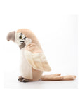Pierre – The talking parrot