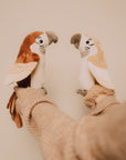 Pierre – The talking parrot