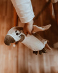 Pierre – The talking parrot
