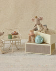 Royal twins mice, Little sister and brother in box