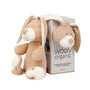 Organic Soft Toy Bunny 0r Teddy - Small