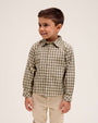Boy's Gingham Shirt in Green and Beige