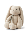 Berto Rabbit Teddy In A Sitting Position (Mist): Height (Cm) 23