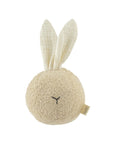 SOFT BALL WITH CRINKLE EARS –  ( Personalise Option available )