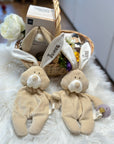 COMFORTER BUNNY WITH DUMMY HOLDER - PERSONALISED OPTION AVAILABLE