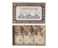 Triplets, Baby mice in matchbox