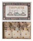 Triplets, Baby mice in matchbox