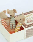 Triplets, Baby mice in matchbox