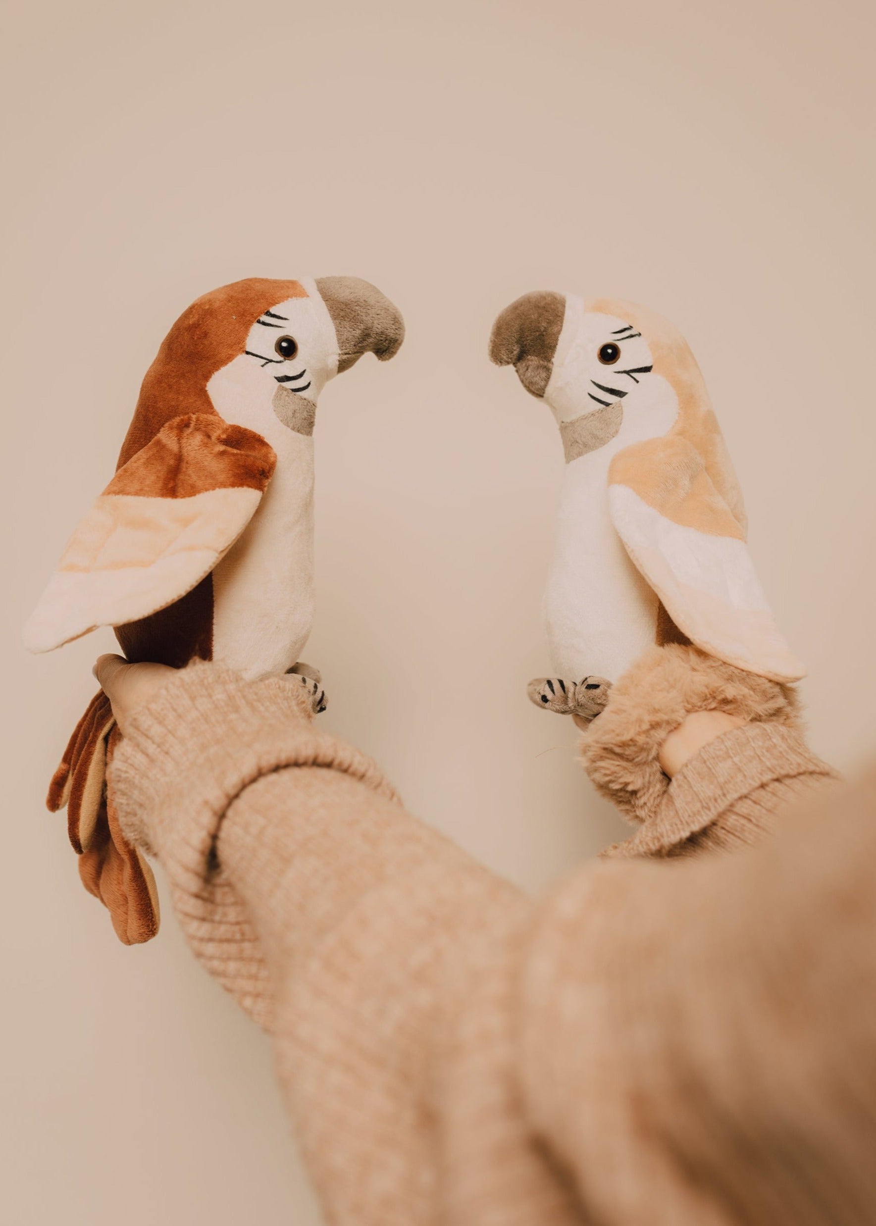 Pierre – The talking parrot