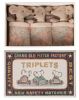 Triplets, Baby mice in matchbox - Checker