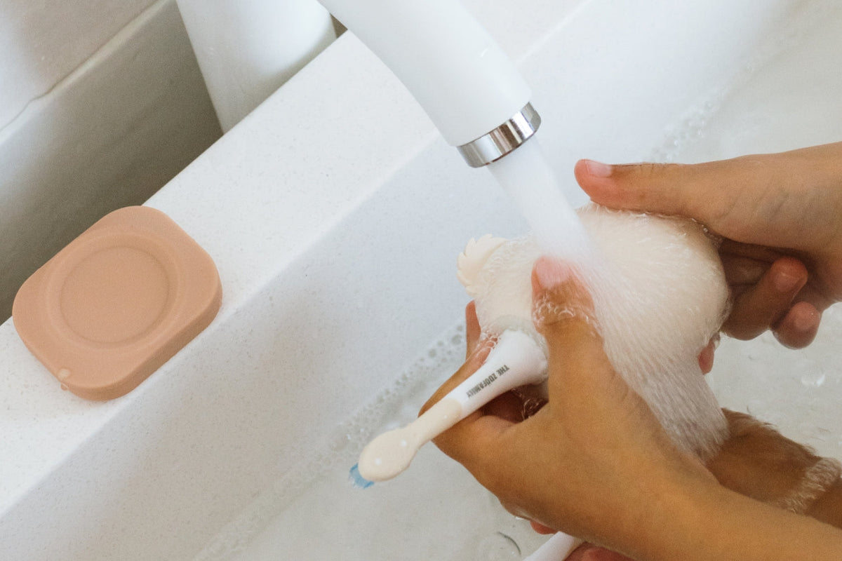 Zoofamily Koala Kids Sonic Electric Toothbrush 🐨✨