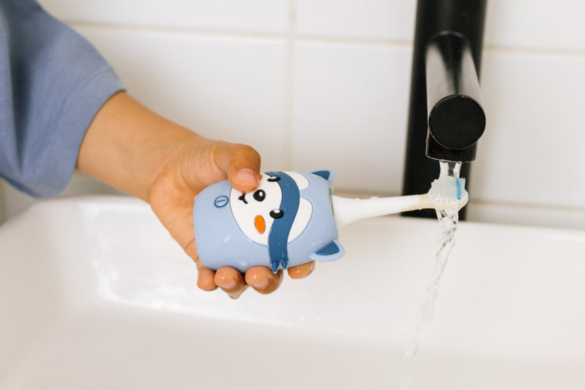 Zoofamily Raccoon Kids Sonic Electric Toothbrush 🦝✨