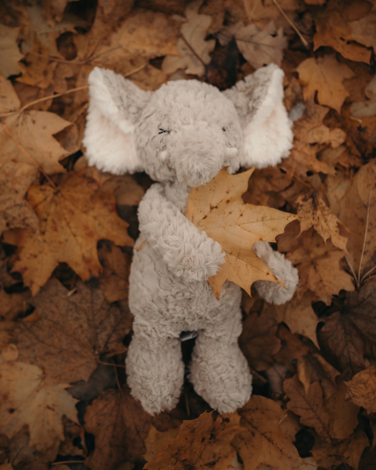 Stuffed animals - Mr. Poppie - Elephant