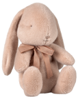 Bunny plush, Small - Powder with Personalised option and Bobo Balloon