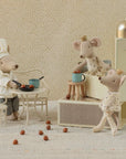 Royal twins mice, Little sister and brother in box