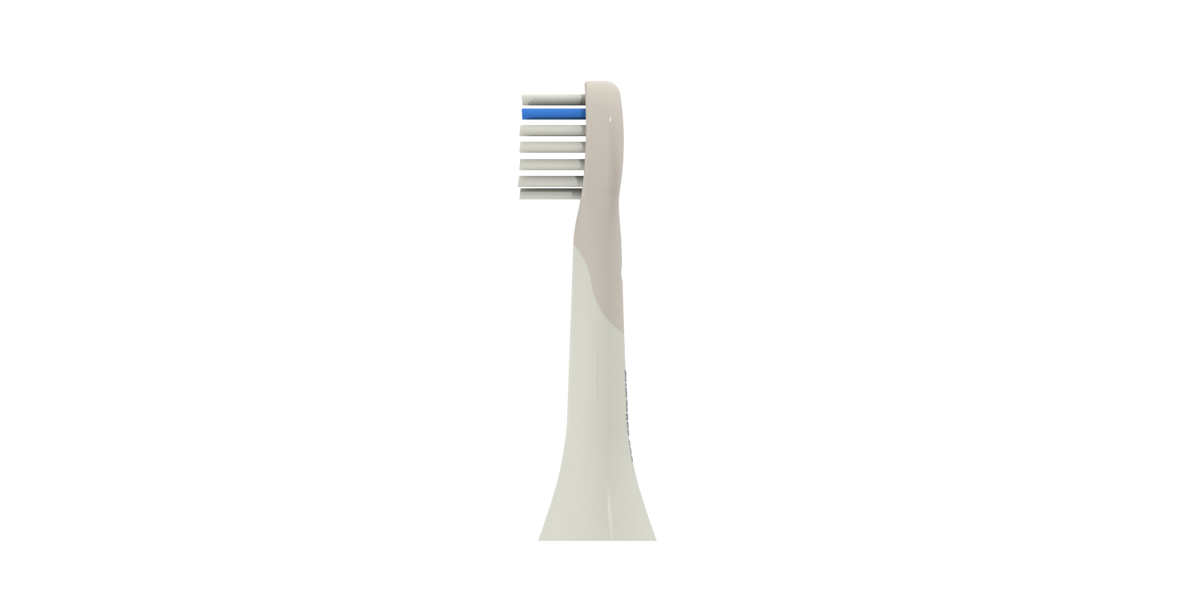 Zoo Toothbrush Replacement Heads – Pack of 2