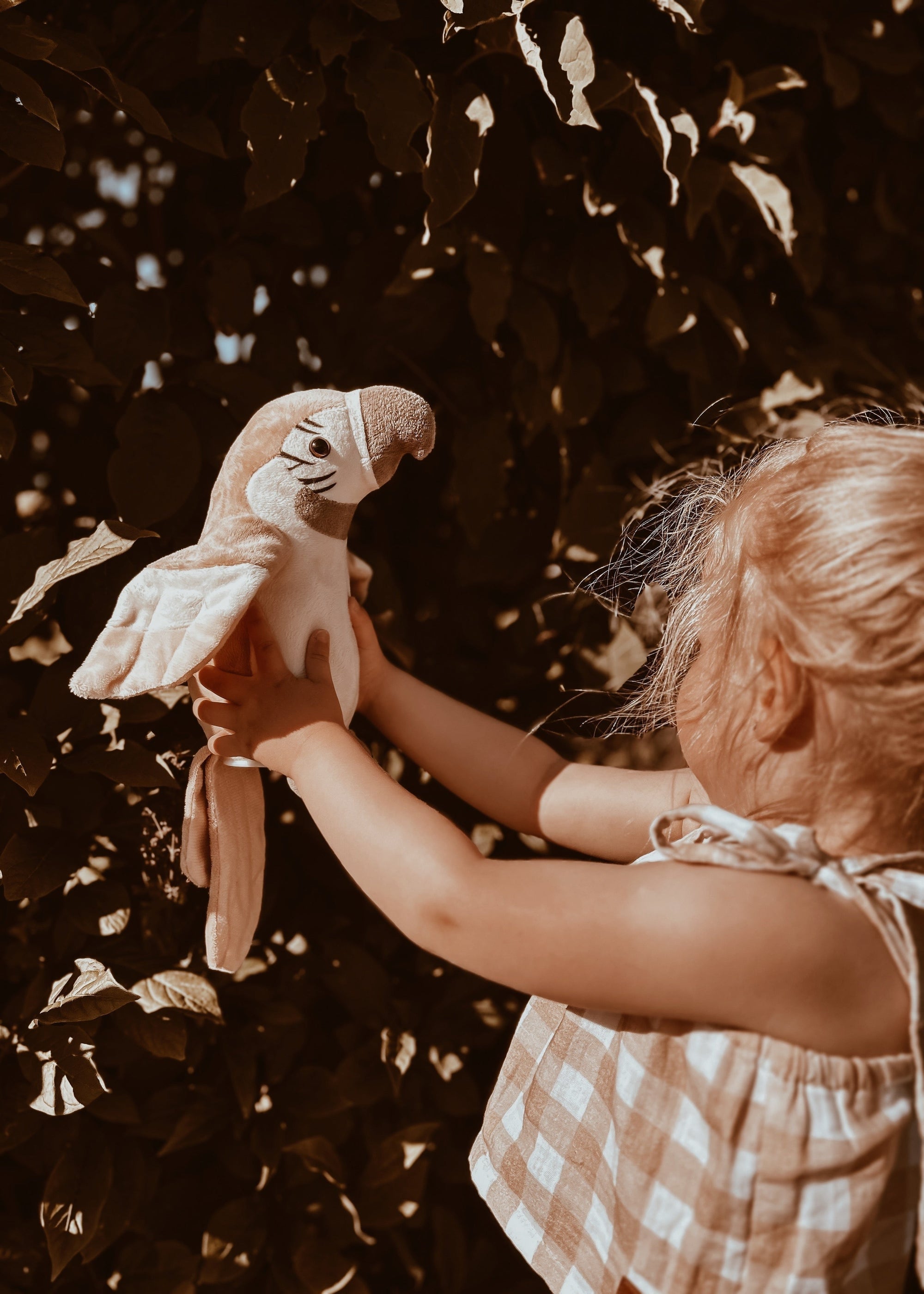 Pierre – The talking parrot