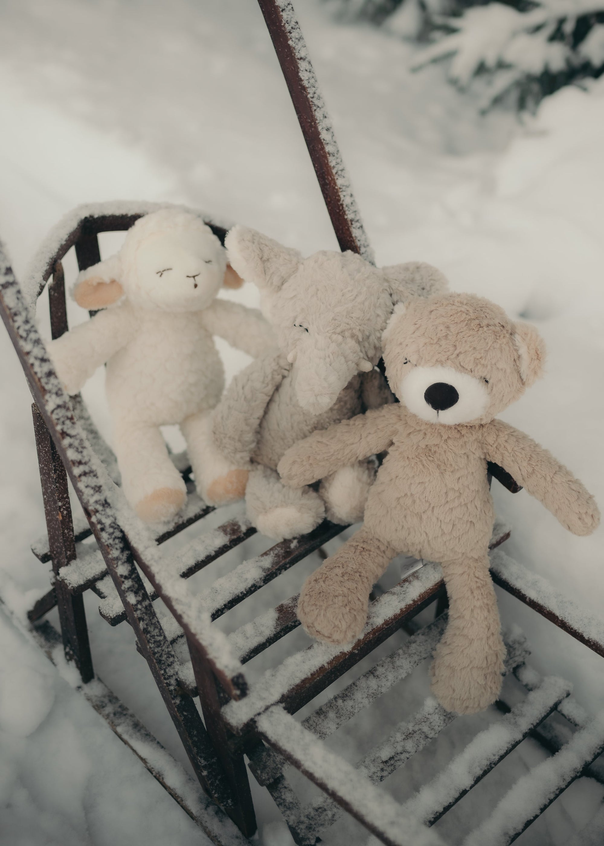 Stuffed animals - Mrs. Polly - Sheep