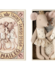 Royal twins mice, Little sister and brother in box