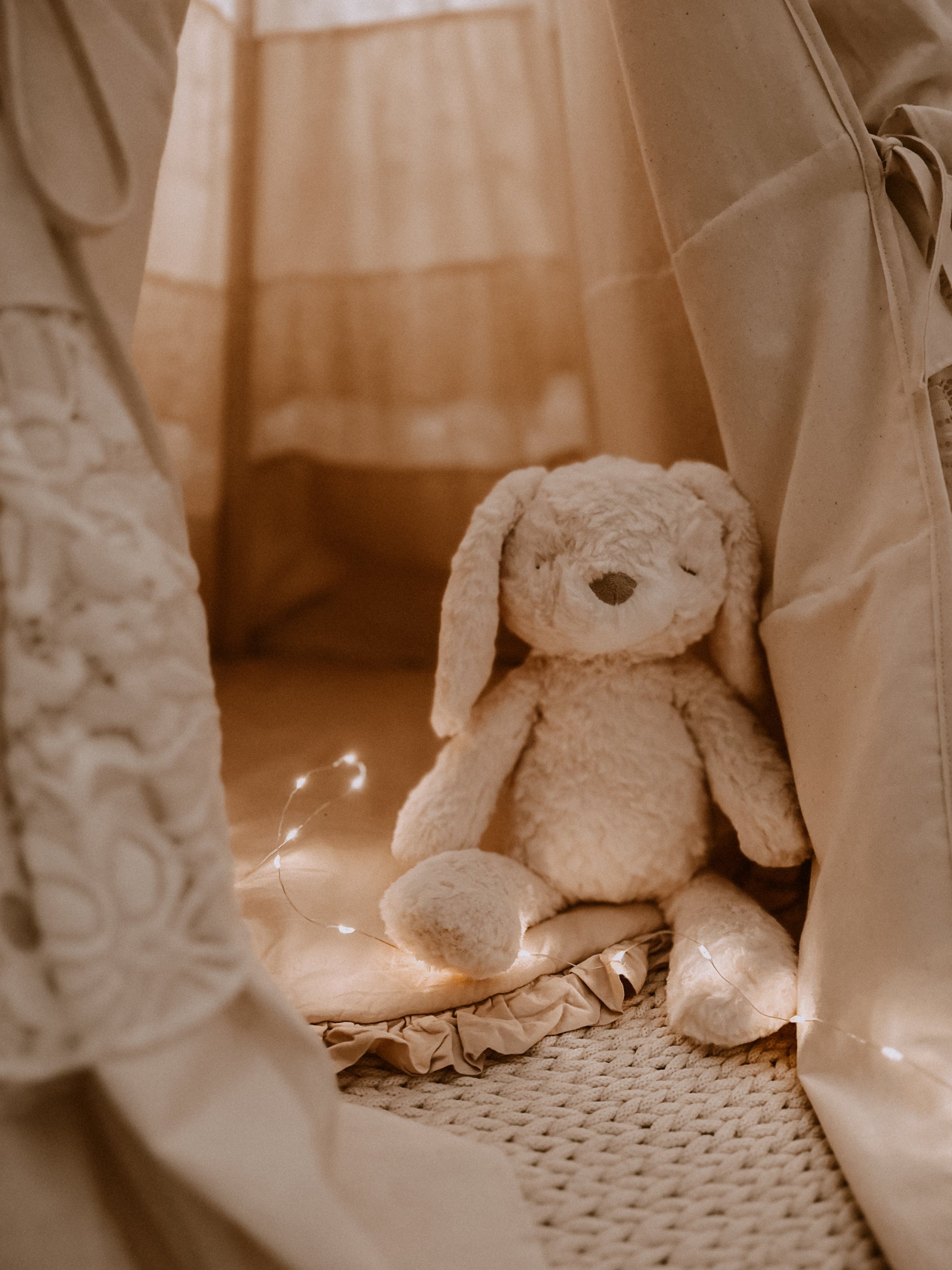 Stuffed animals - Mrs. Pookie - Rabbit