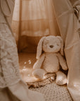 Stuffed animals - Mrs. Pookie - Rabbit